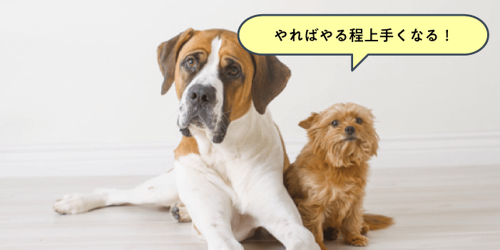 爪切り、耳掃除、目薬etc…トータルケア体験