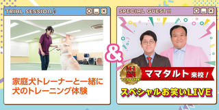 ドリームキャンパス