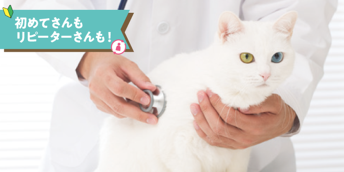 ネコちゃんの健康チェック＆身体の不思議を体験しよう！