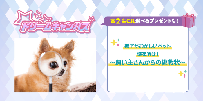 ドリームキャンパス 様子がおかしいペットの謎を解け！〜飼い主さんからの挑戦状〜