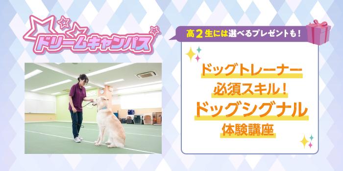 ドリームキャンパス　ドッグトレーナー必須スキル！ドッグシグナル体験講座