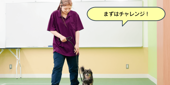 はじめてでも大丈夫！ドッグトレーナーのおシゴト体験