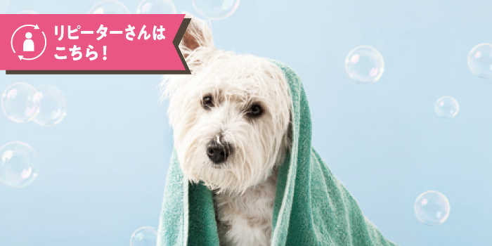 泡あわシャンプー♡とエステ体験