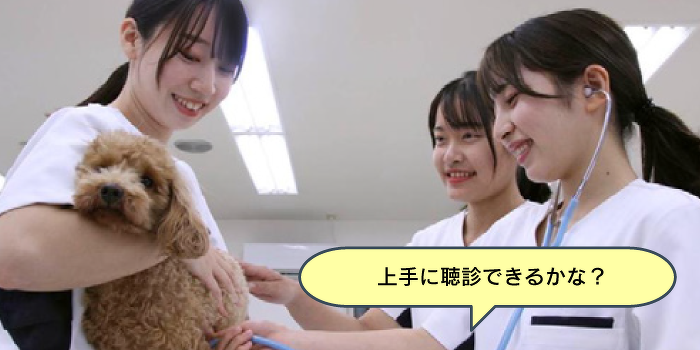 おうちのワンちゃん、ネコちゃんにも！健康チェック体験