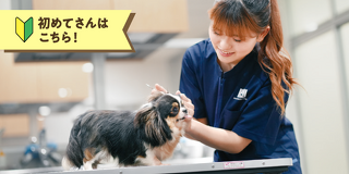 トリマーの基礎！ワンちゃんのお手入れ体験