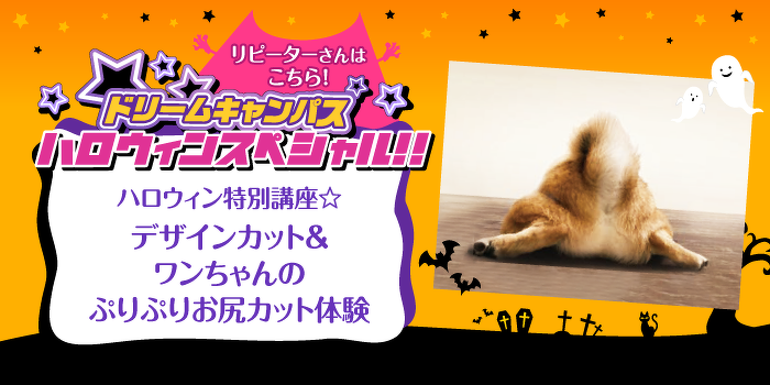 ドリームキャンパス　ハロウィン特別講座☆デザインカット&ワンちゃんのぷりぷりお尻カット体験