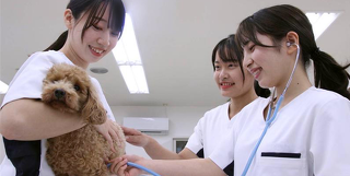 愛玩動物看護学科　ナイトオープンキャンパス