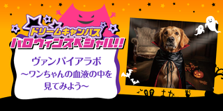 ドリームキャンパス　ヴァンパイアラボ 〜ワンちゃんの血液の中を見てみよう〜