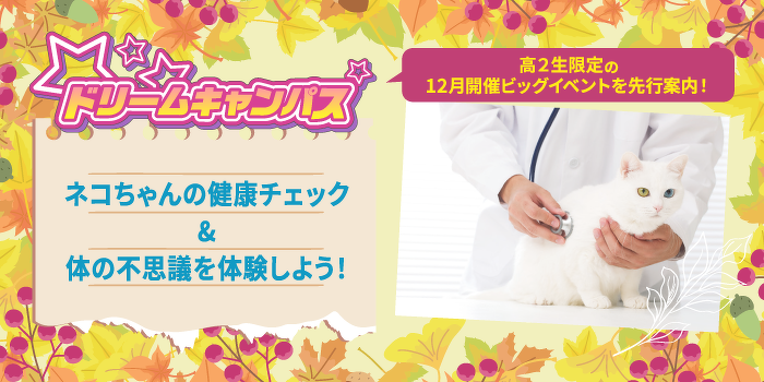 ドリームキャンパス　ネコちゃんの健康チェック＆身体の不思議を体験しよう！