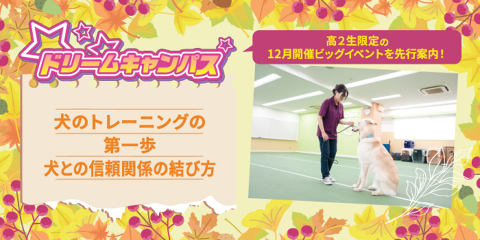 ドリームキャンパス　犬のトレーニングの第一歩 犬との信頼関係の結び方