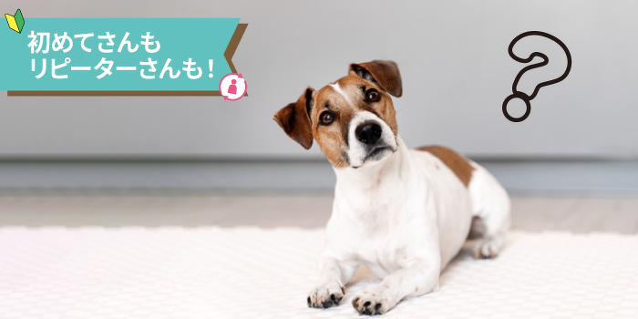 クイズ！犬のきもちを当てまSHOW!＋犬のグルーミング体験