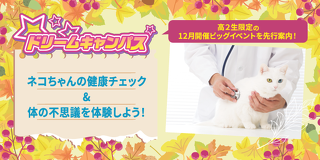 ドリームキャンパス　ネコちゃんの健康チェック＆身体の不思議を体験しよう！