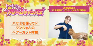 ドリームキャンパス ハサミを使ってワンちゃんのヘアーカット体験