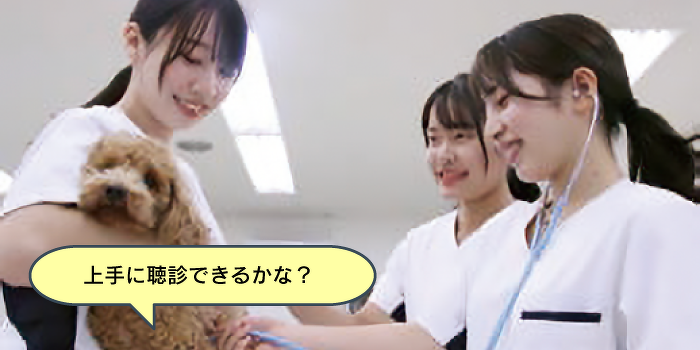 おうちのワンちゃん、ネコちゃんにも！健康チェック体験