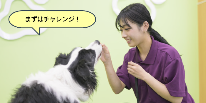 はじめてでも大丈夫！ドッグトレーナーのおシゴト体験