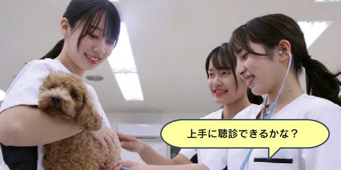 おうちのワンちゃんにも健康チェック体験