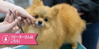 ハサミを使って挑戦☆ウィッグ＆ワンちゃんのカット体験 