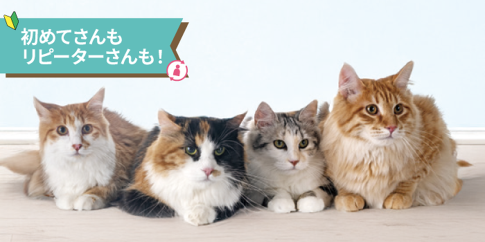 にゃんともカワイ子ちゃんが大集合♡健康チェックとからだの秘密を学ぼう！