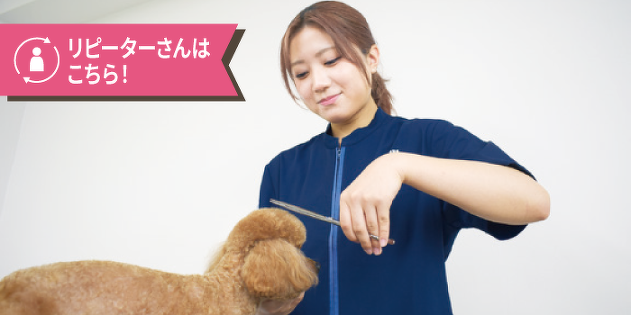 本物のワンちゃんと一緒に学ぶ！カット体験