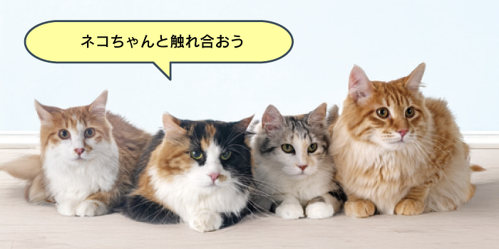 にゃんともカワイ子ちゃんが大集合♡健康チェックとからだの秘密を学ぼう！