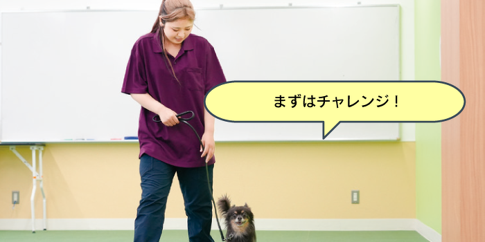 はじめてでも大丈夫！ドッグトレーナーのおシゴト体験