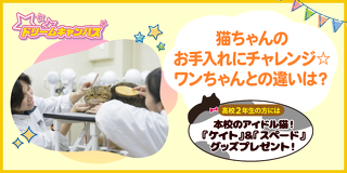 猫の日スペシャル講座！猫ちゃんのお手入れにチャレンジ☆ワンちゃんとの違いは？