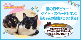 猫の日デビュー！ケイト・スペードと学ぶ猫ちゃんの健康チェック講座！