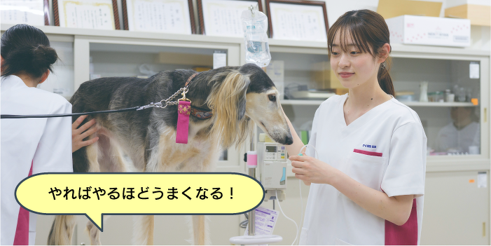 動物看護師必須のスキル！ワンちゃんのバイタルチェック