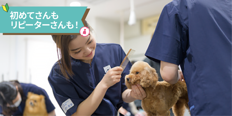 キレイに仕上げるコツを伝授！グルーミング体験