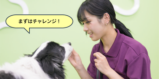 「衣川先生の」ドッグトレーナー必須スキル！基礎トレーニングの教え方