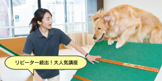 「まちこ先生の」大型犬のトレーニング体験