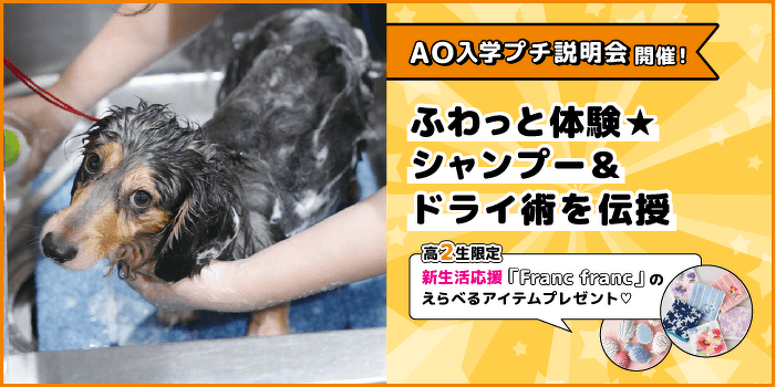 ふわっと体験☆シャンプー＆ドライ術を伝授 