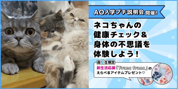 ネコちゃんの健康チェック＆身体の不思議を体験しよう！