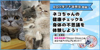 ネコちゃんの健康チェック＆身体の不思議を体験しよう！