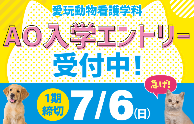 AOエントリー受付中