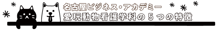 特徴