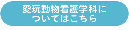 愛玩動物看護学科についてはこちら