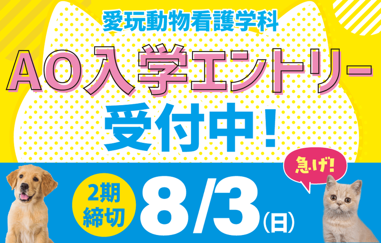 AOエントリー受付中