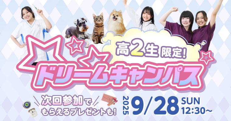 ドリームキャンパス