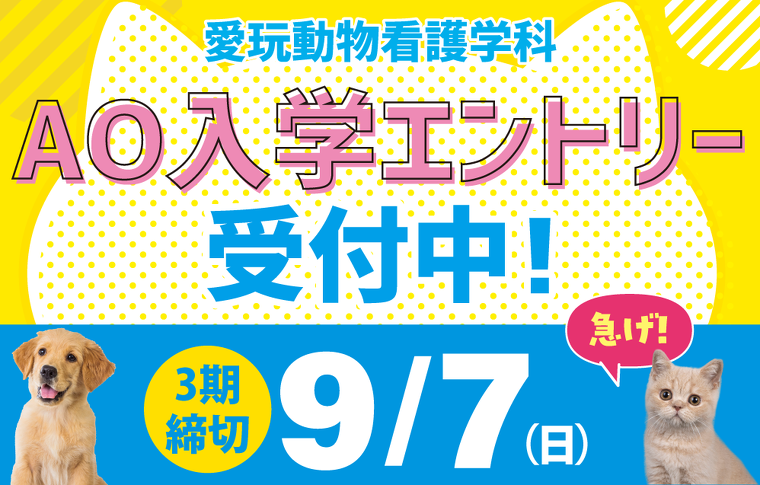 AOエントリー受付中