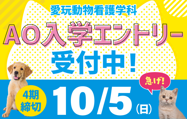 AOエントリー受付中