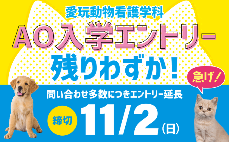AOエントリー受付中