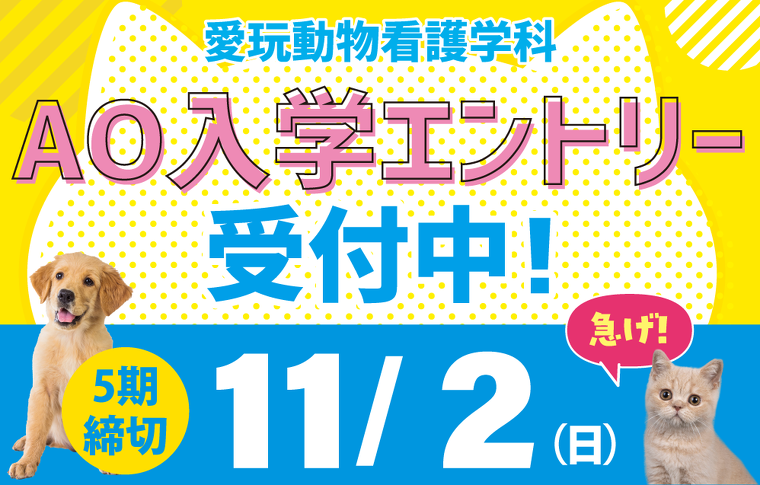 AOエントリー受付中