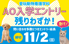 AOエントリー受付中