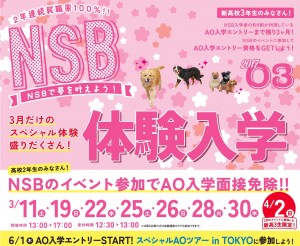 ★3月DM ブログ用
