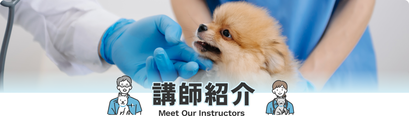 教員紹介