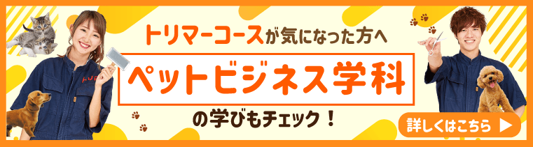 ペットビジネス学科をチェック