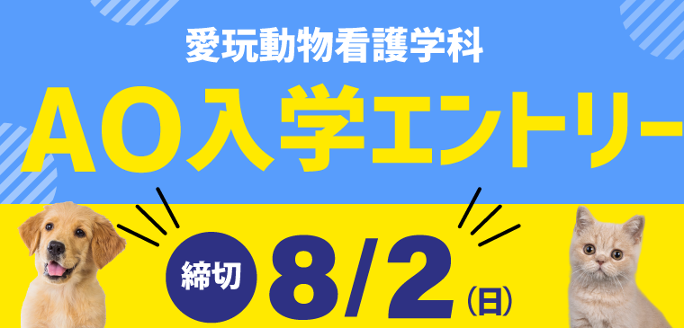 AO入学エントリー受付中