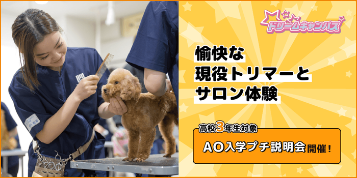 ドッグトレーナーコース | 専門学校名古屋ビジネス・アカデミー