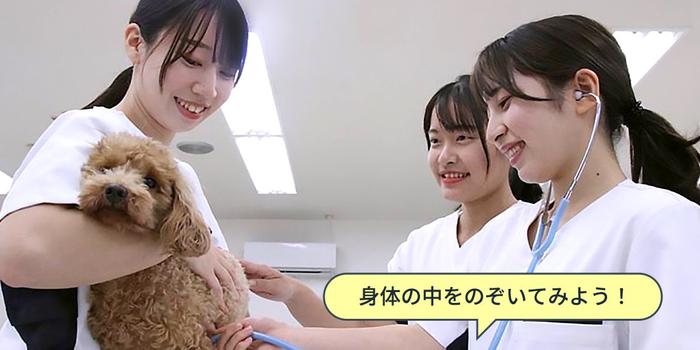 愛玩動物看護学科 | 専門学校名古屋ビジネス・アカデミー